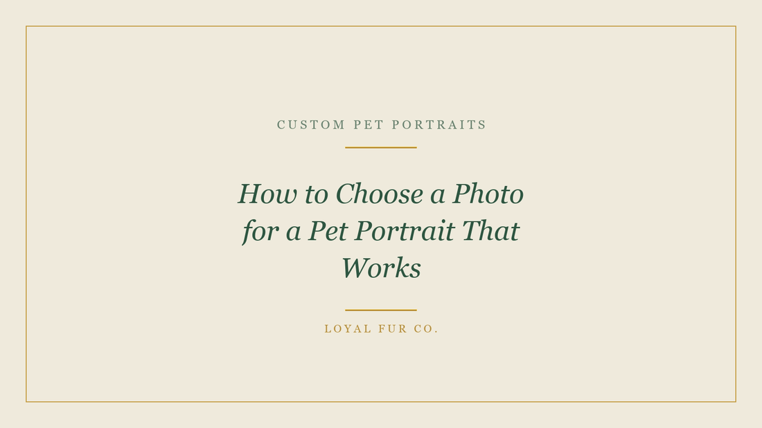 How to Choose a Photo for a Pet Portrait That Works