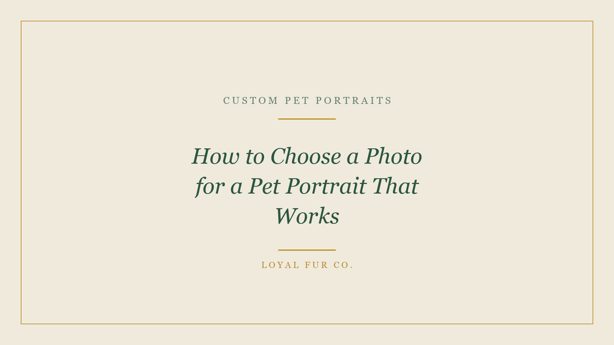 How to Choose a Photo for a Pet Portrait That Works