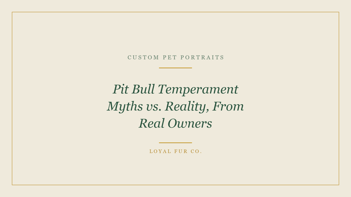 Pit Bull Temperament Myths vs. Reality, From Real Owners