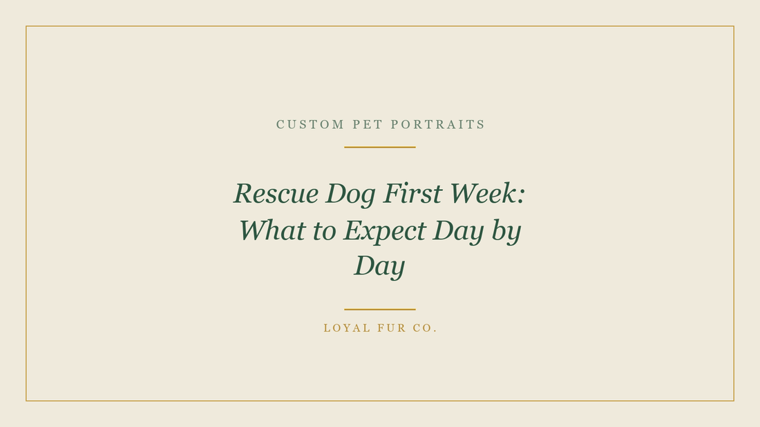 Rescue Dog First Week: What to Expect Day by Day