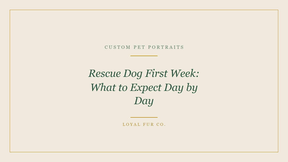 Rescue Dog First Week: What to Expect Day by Day