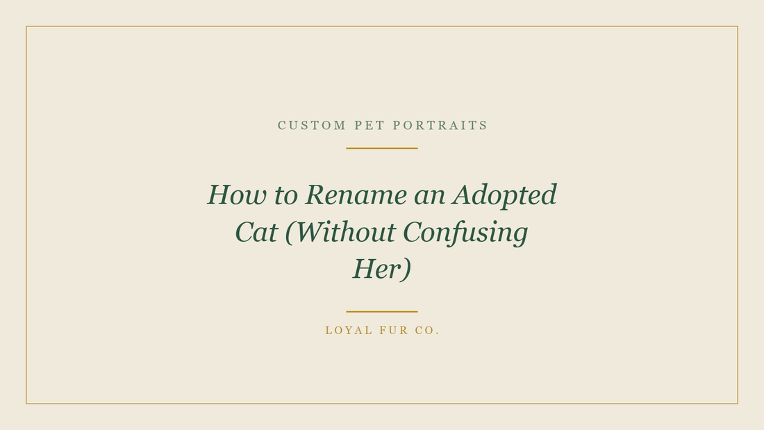 How to Rename an Adopted Cat (Without Confusing Her)