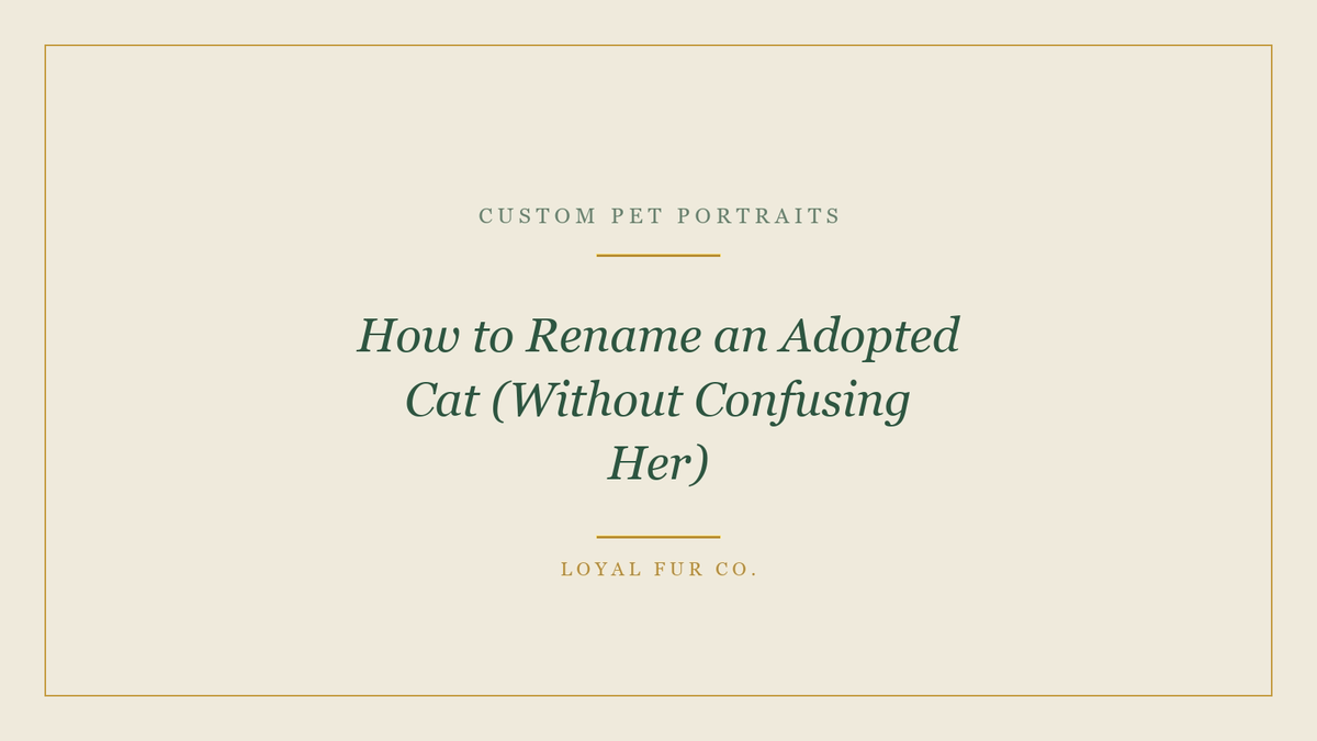 How to Rename an Adopted Cat (Without Confusing Her)