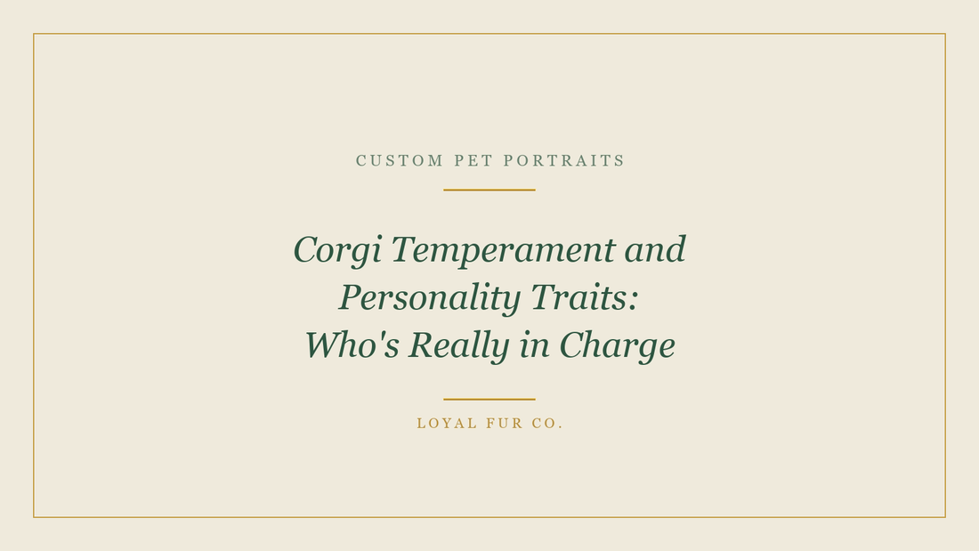 Corgi Temperament and Personality Traits: Who's Really in Charge