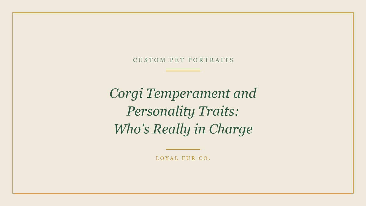 Corgi Temperament and Personality Traits: Who's Really in Charge